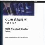 CISCO书籍经典大全-CCIE实验指南(第1卷)(中文) PDF