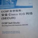 CISCO书籍经典大全-CCSP自学指南：安全Cisco IOS网络（中文） PDF