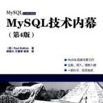 MySQL技术内幕(第4版) PDF